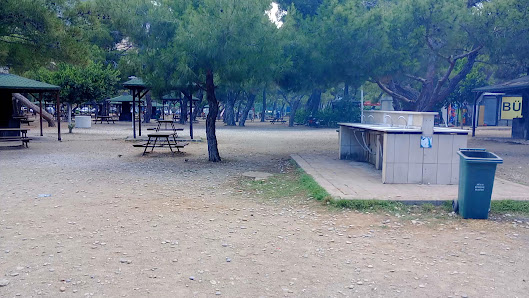 Sarısu Beach-Picnic Area Yerel İşletme fotoğrafı 3