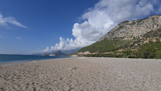 Sarısu Beach-Picnic Area Yerel İşletme fotoğrafı 4