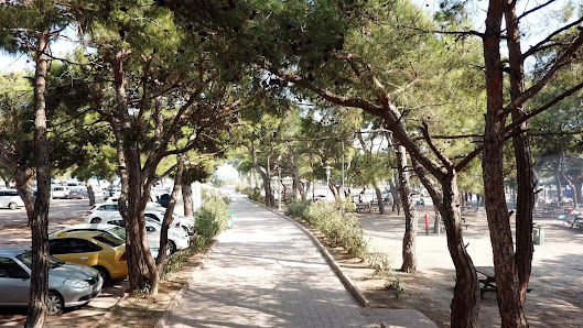 Sarısu Beach-Picnic Area Yerel İşletme fotoğrafı 5